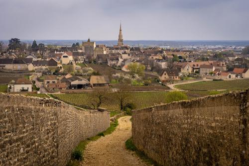 Village of Meursault and its vineyards during a cold weather
